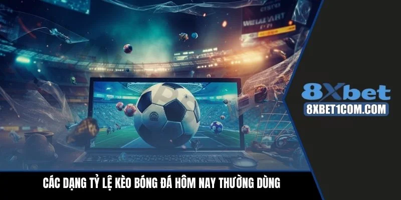 Các dạng tỷ lệ kèo bóng đá hôm nay thường dùng