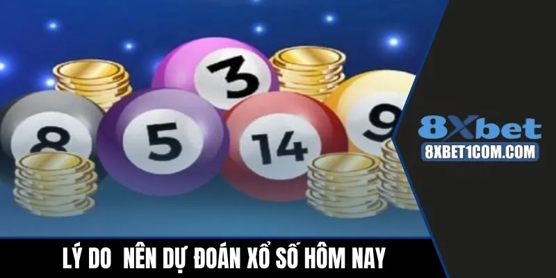 Lý do mọi người nên dự đoán xổ số hôm nay thường xuyên