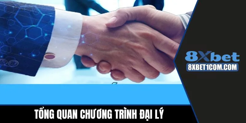Tổng quan chương trình đại lý