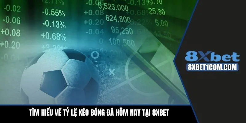Tìm hiểu về tỷ lệ kèo bóng đá hôm nay tại 8xbet