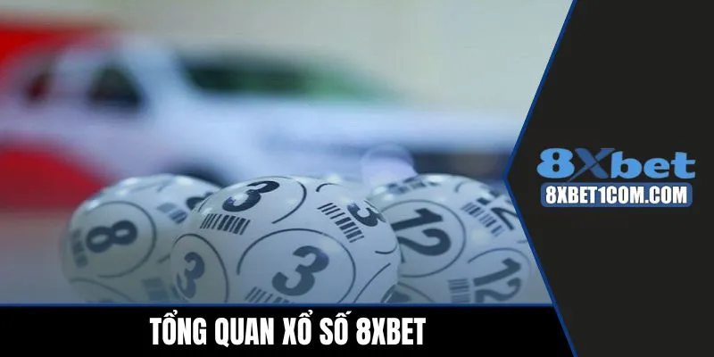 Tổng quan xổ số 8xbet